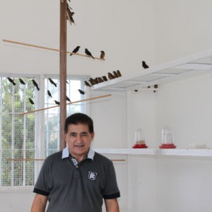 Criadouro Mineirinho
