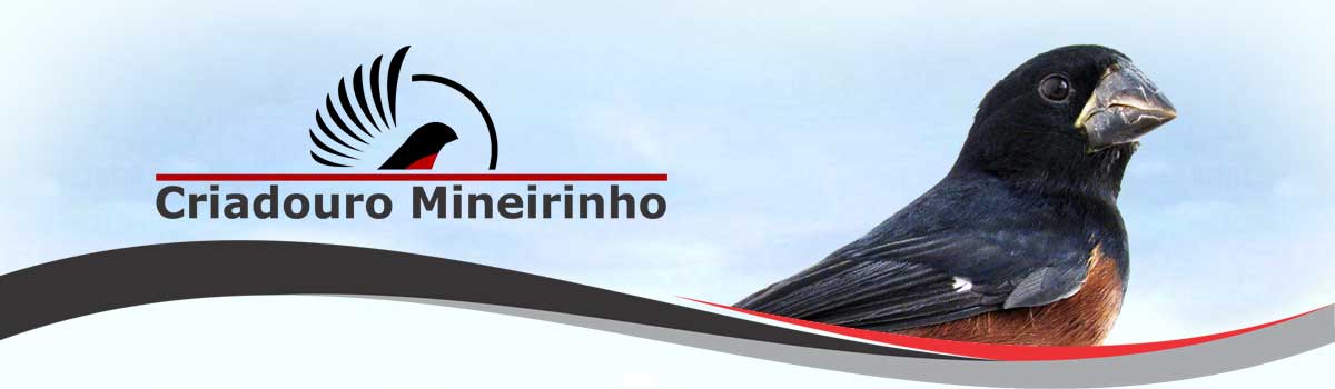 Criadouro Mineirinho